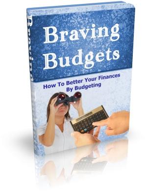 Braving Budgets - PDF Ebook - Digital Download - Master Resale Rights