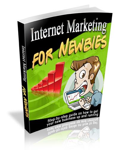 Ebook - Internet Marketing for Newbies - Instant Download